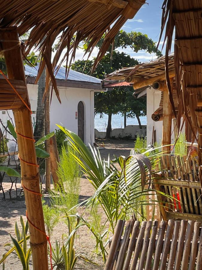 Tribal Huts Community Pansiyon Daanbantayan Dış mekan fotoğraf