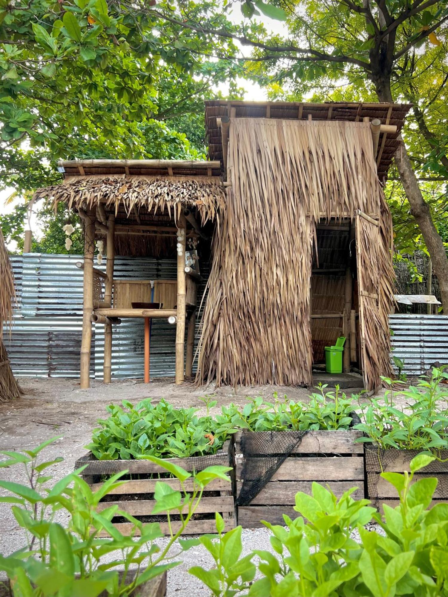 Tribal Huts Community Pansiyon Daanbantayan Oda fotoğraf