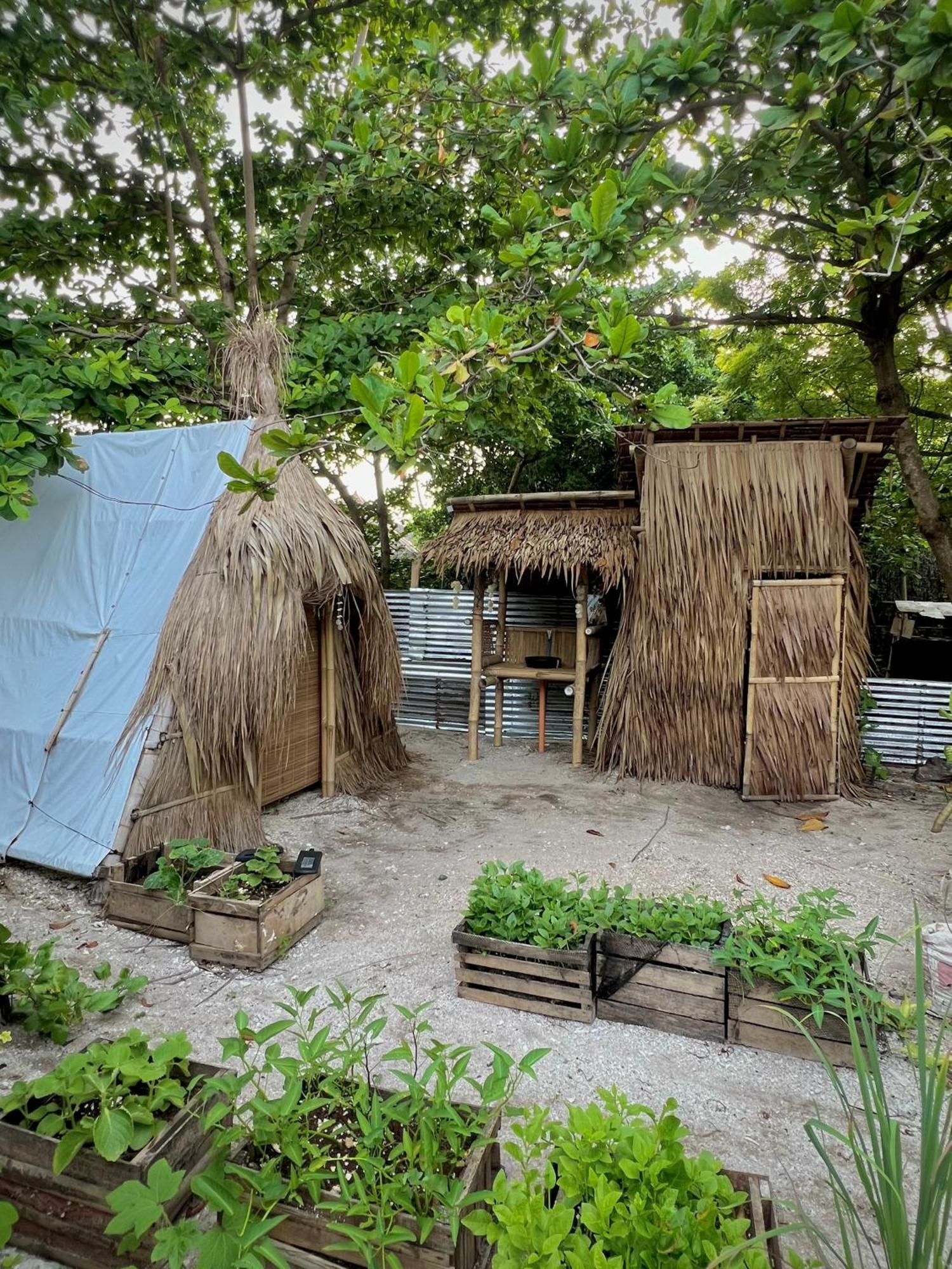 Tribal Huts Community Pansiyon Daanbantayan Dış mekan fotoğraf