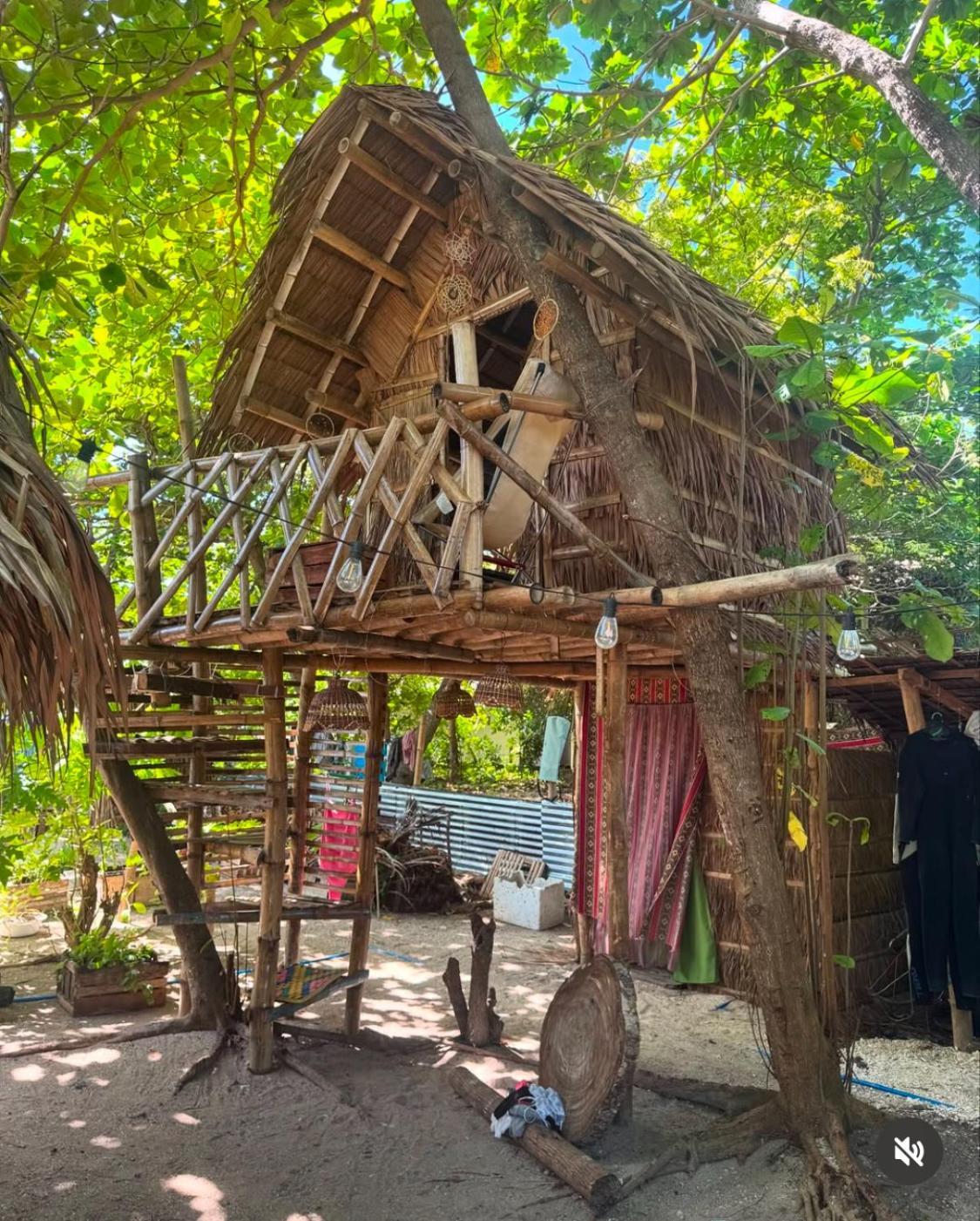 Tribal Huts Community Pansiyon Daanbantayan Dış mekan fotoğraf