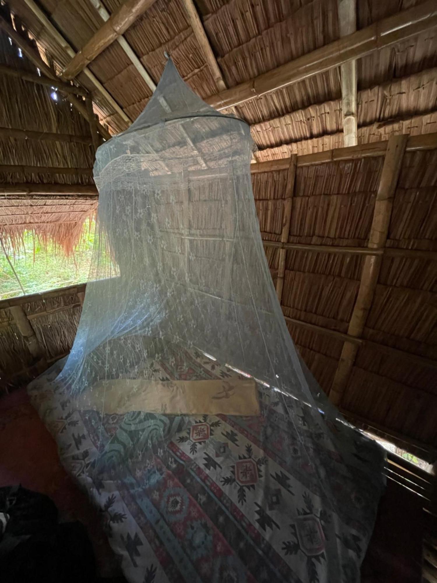 Tribal Huts Community Pansiyon Daanbantayan Oda fotoğraf